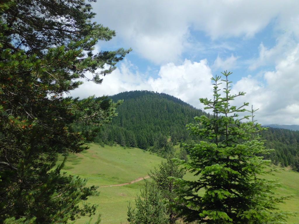 Ilgaz Derbent Hotel Zewnętrze zdjęcie